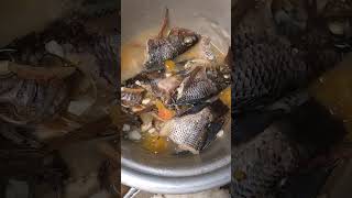 PAKSIW NA TILAPIA shorts short tilapia fish trending satisfying [upl. by Tabbi263]