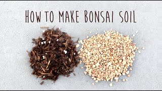 How to make your own bonsai soil for Portulacaria afra by Little Jade Bonsai [upl. by Seabury536]