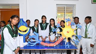 Science Exhibitions  Science Fair Project  Best Science Fair Project Ideas  Science Fair modal [upl. by Lamahj]