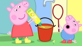 Peppa Pig and George Pig Play With Bubbles  Peppa Pig Official Family Kids Cartoon [upl. by Nosinned]