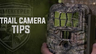 Trail Camera Tips [upl. by Dlareg640]