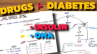 DRUGS FOR DIABETES  Insulin  OHA  Pharmacology [upl. by Slrahc836]