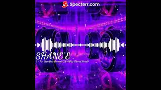 Shane E  Fun Stop Bass Boosted 2846Hz Slowed Reverb [upl. by Eneres]