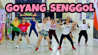 GOYANG SENGGOL  DANGDUT REMIX  SENAM KREASI  CHOREO ZIN CHICIE [upl. by Levram]