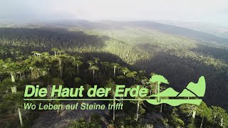 Die Haut der Erde  Wo Leben auf Steine trifft [upl. by Keiryt125]