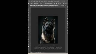 Removal Background photoshop photoshoptutorial removebackground howto [upl. by Ecitnerp]