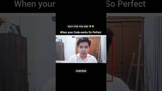 When Your Code Works So Perfect  shorts shortsfeed youtubeshorts [upl. by Alleinad]