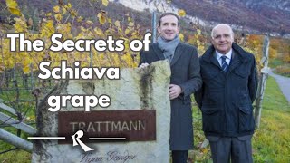 Unveiling The Secrets Of Schiava grape  Girlan Winery [upl. by Lolanthe469]