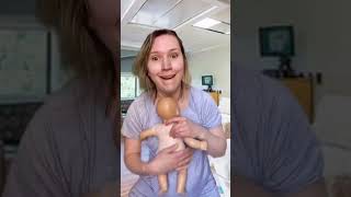 The many phrases of labor 🤰shorts ytshorts laboranddelivery pregnancy 9monthspregnant [upl. by Jalbert832]