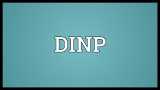 DINP Meaning [upl. by Abate]