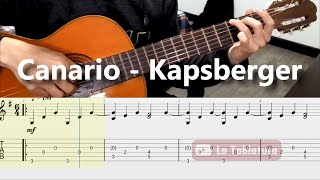 Canario  Kapsberger  Guitar TAB  Lesson [upl. by Plotkin350]