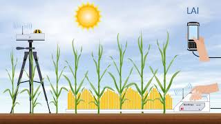 DeltaT Devices SunScan System  Measures PAR and Calculates Leaf Area Index in Plant Canopies [upl. by Neyr]