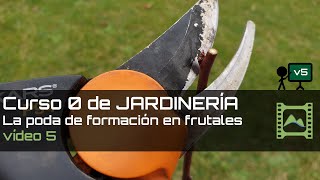 Cómo hacer la Poda de Formación en frutales  Capítulo 5  Curso básico de Jardinería 2020  LdN [upl. by Eibber]