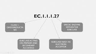 Enzyme nomenclature and classification  Malayalam [upl. by Susana]