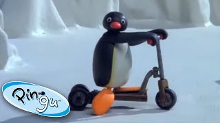 Pingu and the New Scooter Pingu Official 1 Hour Cartoons for Kids [upl. by Nicola]