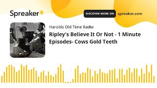 Ripleys Believe It Or Not  1 Minute Episodes Cows Gold Teeth [upl. by Eelimaj]