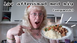 nem vegansk aftensmad [upl. by Peter]