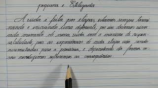 COMO ESCREVER UMA LETRA PEQUENA E BONITA [upl. by Nolahs]