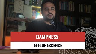 Dampness amp Efflorescence CiviSns  Bangla Tutorial [upl. by Manus]