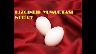 KIZGINLIK YUMURTASI NEDİR [upl. by Netnert]