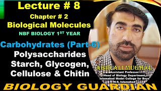 Polysaccharides  Starch  Glycogen  Cellulose  Chitin  Lecture 8 Ch 2 NBF Biology11 UrduHindi [upl. by Francie]