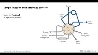 Valco sample injection and heart cut to detector [upl. by Emawk842]