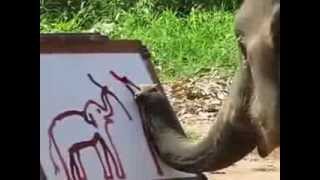 An elephant paints a selfportrait with his trunk [upl. by East]