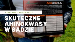 Skuteczne aminokwasy w sadzie Dlaczego warto stosować AmiAgrę [upl. by Aknahs]