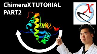 ChimeraX Tutorial  Moving 3D Proteins [upl. by Crisey]