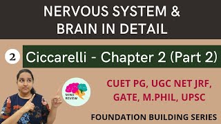 Ciccarelli Chapter 2  Part 2  Nervous System and Brain in Detail  Mind Review [upl. by Nixon]