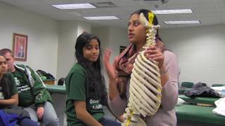 Osteopathic Medical Scholars Program OMSP [upl. by Mckenzie]