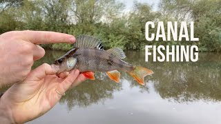 CANAL FISHING FOR PERCH AND PIKEPickle😂 [upl. by Keele770]