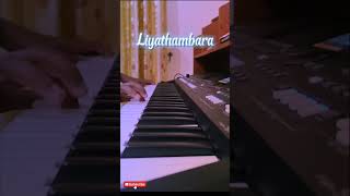 Liyathambara keyboard Cover keyboardcover pianocovermusic trending liyathambara athmaliyanage [upl. by Asenad501]