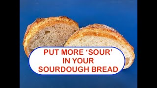 quotSOURquot SOURDOUGH BREAD [upl. by Yllah]