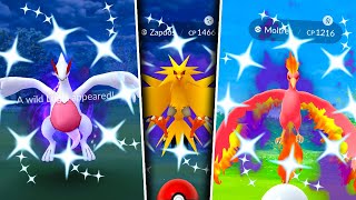 First look at a Shadow Zapdos Raid in Pokemon GO Shiny Shadow Lugia amp Moltres are NEXT [upl. by Torin168]