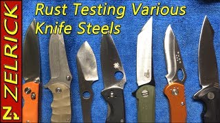 Knife Steel Rust Testing 1095 8Cr13Mov D2 420HC Walmart and Y Start [upl. by Aiet]