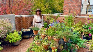 November Container Garden Tour🪴So Much Is Still Growing On My Front Deck [upl. by Klecka121]