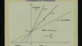 Lecture  9 Enzymes III [upl. by Naerda]