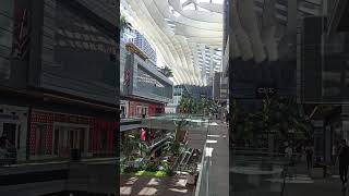 Brickell City Centre Shoping en Miami tiendas en Miami donde comprar ropa en Miami brickell miami [upl. by Rehpotsyrk]