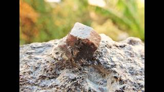 Almandine garnet mineral specimen from Ahladia in Nevrokopi in Macedonia Greece [upl. by Nikaniki]