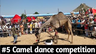 Camel dance competitionpushkar fair 2019 [upl. by Adihahs572]