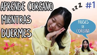 Aprende Coreano Mientras Duermes 1 FRASES MÁS CORRECTAS [upl. by Annoya538]