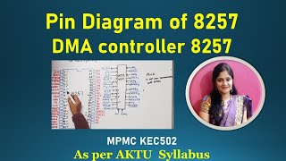 8257  pin diagram of 8257 DMA controller  pin description of 8257 [upl. by Yerffe]