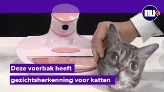 Nooit meer gestolen kattenvoer met deze voerbak met gezichtsherkenning [upl. by Katee807]