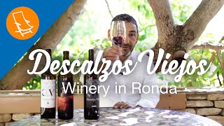 A tour of the Descalzos Viejos winery  Ronda [upl. by Doro]