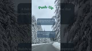 Chest Building Exercise Reel 01 PushUP How to do perfect Pushups [upl. by Joelie]