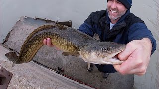 How to Fish for Burbot from Shore [upl. by Thurnau]