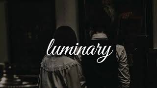 luminary joel sunny ★ [upl. by Alyahsal]