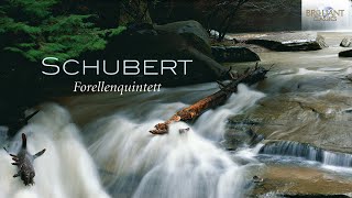 Schubert Forellenquintett [upl. by Campbell]