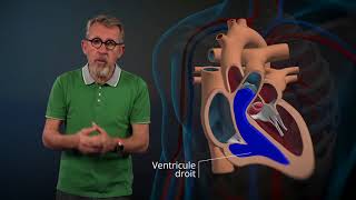 Le fonctionnement du cœur expliqué par Jamy [upl. by Halehs]